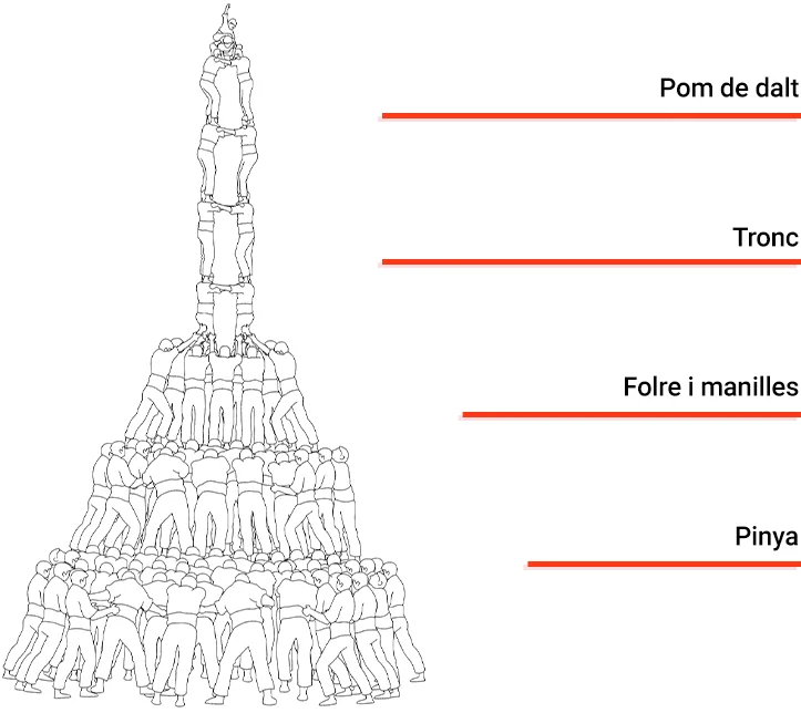 Diagrama d'un castell amb les parts anotades: pinya, tronc i pom de dalt